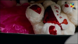 Meesni - Episode 65 - 21st March 2023